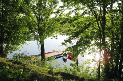 Lake and kayaks through trees
